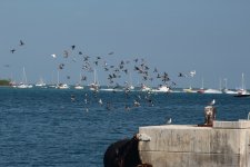 IMG_0898.JPG
