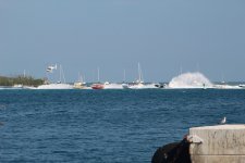 IMG_0899.JPG