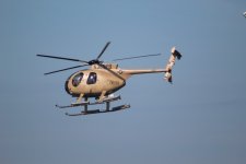 IMG_0972.JPG
