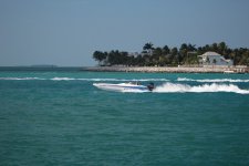 IMG_1337.JPG