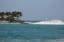 IMG_1432.JPG