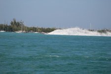 IMG_1433.JPG