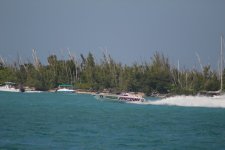 IMG_1475.JPG