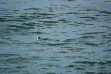 IMG_1647.JPG
