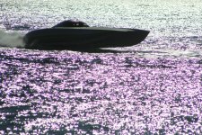 IMG_1864.JPG