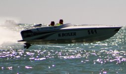 IMG_2441.jpg