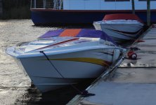 IMG_2880.jpg