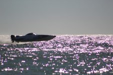 IMG_2643_50.jpg