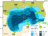 Gulf of Mexico Map 2-001.jpg