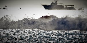 IMG_8950.JPG