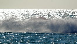 IMG_8951.JPG