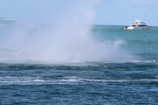 IMG_9201.JPG