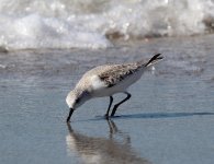 IMG_5315.JPG