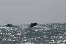 IMG_7169.JPG