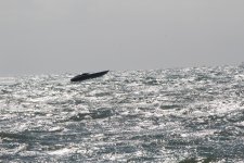 IMG_7433.JPG