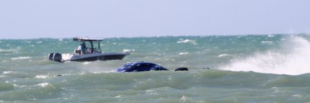 IMG_7504.JPG