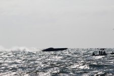 IMG_7605.JPG