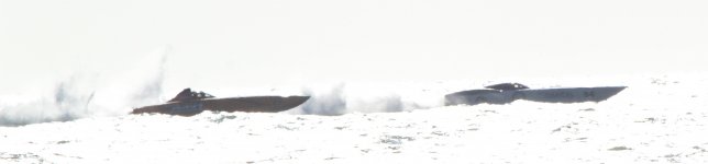 IMG_7704.JPG