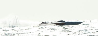 IMG_7706.JPG