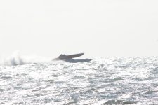 IMG_7708.JPG