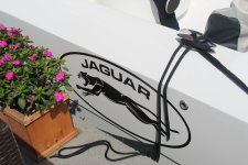 IMG_7821.JPG