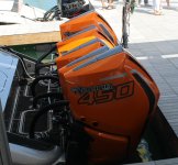 IMG_7894.JPG