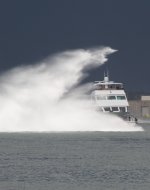 IMG_8198.JPG