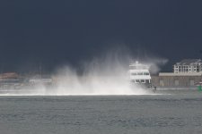 IMG_8199.JPG