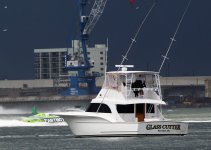 IMG_8224.JPG