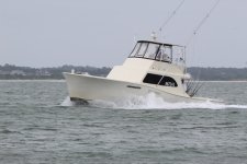 IMG_7985.JPG