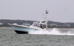 IMG_8020.JPG