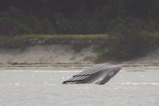 IMG_8968.JPG