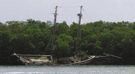 IMG_9831.JPG