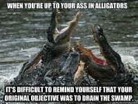 IMG_6293.jpeg