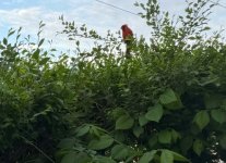 IMG_0288.jpeg