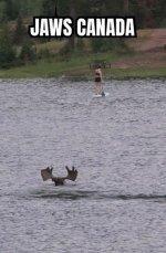 IMG_7248.jpeg IMG_7248.jpeg