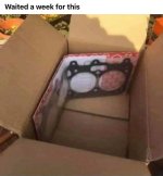 IMG_9749.jpeg