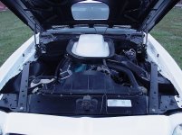 73 Trans Am 018.jpg