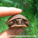 Click image for larger version. 

Name:	th_funny_new_46.gif 
Views:	101 
Size:	196.3 KB 
ID:	15069