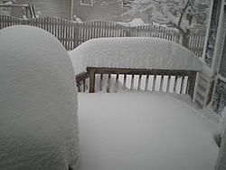 Feb2010Snow 017.jpg