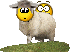 sheepshag1.gif