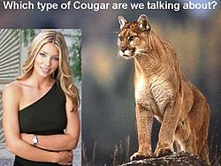Click image for larger version. 

Name:	which cougar.jpg 
Views:	4 
Size:	31.7 KB 
ID:	72383