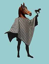 Click image for larger version. 

Name:	Poncho Horse.jpg 
Views:	8 
Size:	51.4 KB 
ID:	72801