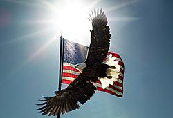 Click image for larger version. 

Name:	1   Flag and eagle 2 Brighter 13 x 19---   2 REDUCED for screen.jpg 
Views:	2 
Size:	121.9 KB 
ID:	72932