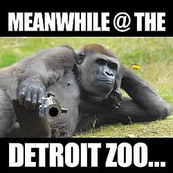 Click image for larger version. 

Name:	zoo!!.jpg 
Views:	0 
Size:	75.4 KB 
ID:	81385