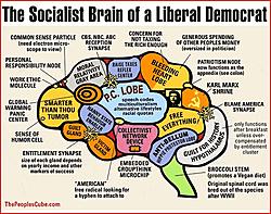 Click image for larger version. 

Name:	liberalbrain.jpg 
Views:	5 
Size:	78.4 KB 
ID:	84049