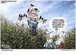 Click image for larger version. 

Name:	bernie scarecrow.jpg 
Views:	5 
Size:	157.1 KB 
ID:	87875