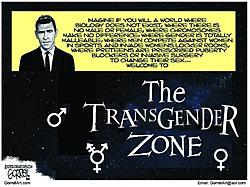 Click image for larger version. 

Name:	trans zone.jpg 
Views:	5 
Size:	74.1 KB 
ID:	94231