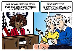 Click image for larger version. 

Name:	bidens insults.jpg 
Views:	3 
Size:	75.2 KB 
ID:	95119