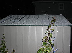 Snow! 2008 010.jpg